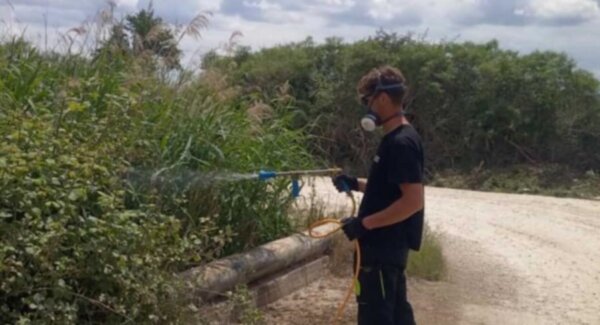 Δήμος Λαρισαίων: Συνεχίζονται οι έλεγχοι και οι εφαρμογές για την καταπολέμηση των κουνουπιών