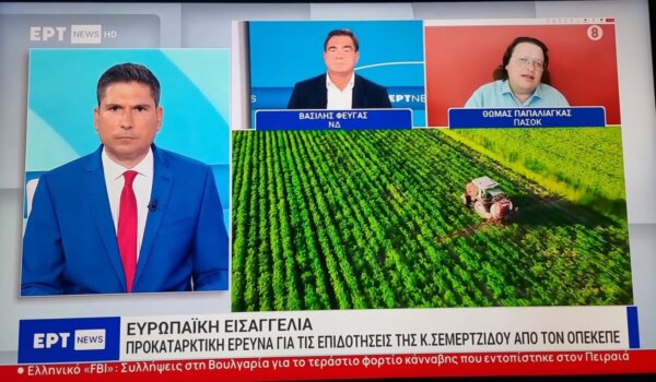 Παπαλιάγκας: Μιλάτε για τη Σεμερτζίδου, για να ξεχάσουμε την παραγραφή Βορίδη;