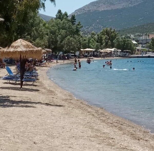 Τα ψάρια στον Αλμυροπόταμο της Εύβοιας ξεπηδούσαν από το νερό προς τη στεριά