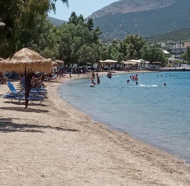 Τα ψάρια στον Αλμυροπόταμο της Εύβοιας ξεπηδούσαν από το νερό προς τη στεριά
