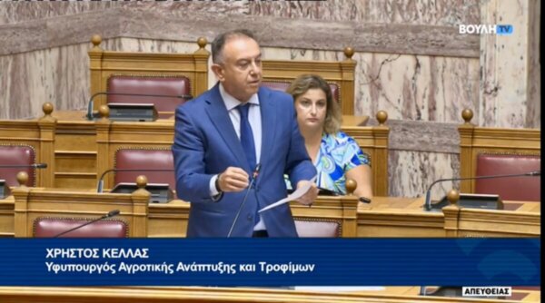 Χρήστος Κέλλας σε Βασίλη Κόκκαλη στη Βουλή: «Παραπληροφόρηση και ανευθυνότητα. Δεν υπάρχει αποτελεσματικό εμβόλιο»