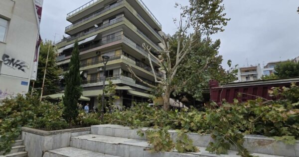 Δήμος Λαρισαίων: “Αδιαπραγμάτευτη αρχή η προστασία και διαφύλαξη του πρασίνου στην πόλη”