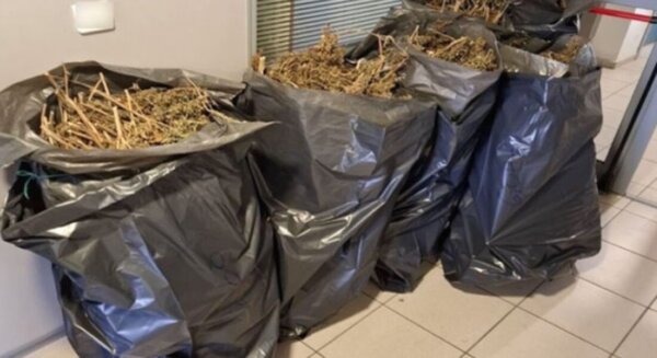 Κάθειρξη 10 ετών σε Λαρισαίο – Έκρυβε 38 κιλά χασίς μέσα σε σακούλες