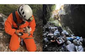 Πήλιο: Πέταξαν κουταβάκια σε γκρεμό 20 μέτρων – Επέζησε μόνο το ένα