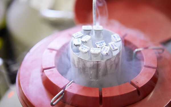 Γιατί οι δότες σπέρματος έχουν εκατοντάδες παιδιά – Η αλήθεια πίσω από τον Δανό με την καρκινογόνα μετάλλαξη