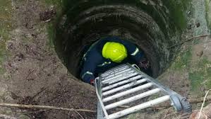 Πυροσβέστες έσωσαν σκύλο που έπεσε σε πηγάδι βάθους επτά μέτρων στη Λάρισα