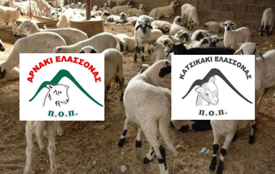 “Aρνάκι και κατσικάκι Ελασσόνας” – Νέα προοπτική με πιστοποίηση ΠΟΠ