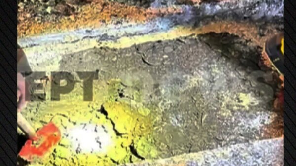 Εκτός των σχεδίων πυρασφάλειας το υπόγειο στο εργοστάσιο της Βιολάντα