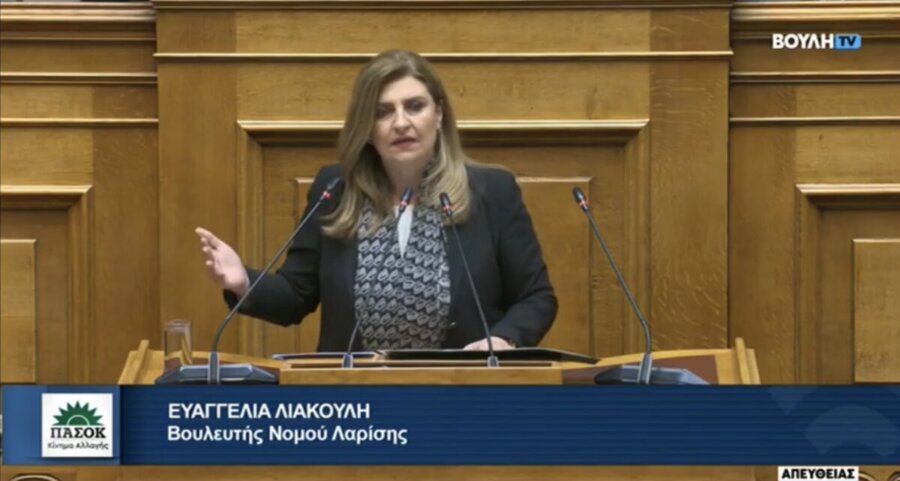 Ε. Λιακούλη στη Βουλή: «Στον αέρα οι Εργασιακοί Σύμβουλοι του ΚΠΑ2 στη Λάρισα»