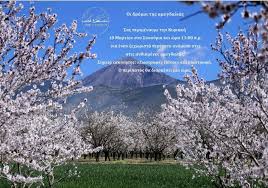 «Δρόμοι των ανθισμένων αμυγδαλιών» στο Συκούριο