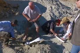 Η προϊστορία της Κατερίνης σε ομοίωμα – Βήμα για τον γεωπαλαιοντολογικό τουρισμό