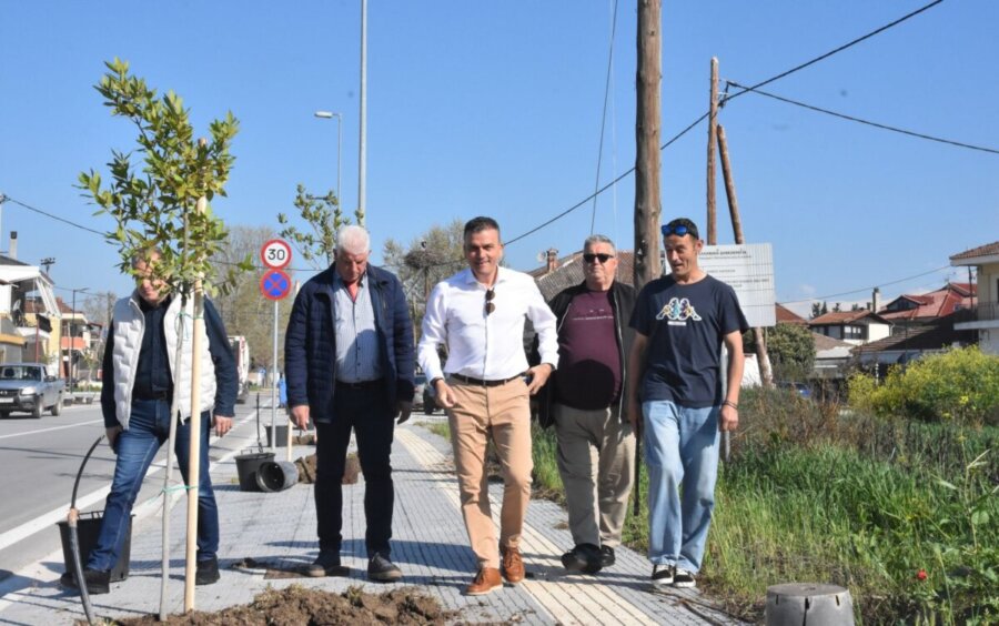 Θ. Μαμάκος: «Συνεχίζουμε τις παρεμβάσεις μας για ενίσχυση του πράσινου αποτυπώματος στην πόλη»