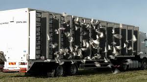 Αλεξανδρούπολη: Πάνω από πέντε χιλιάδες ταχυδρομικά περιστέρια ξεχύθηκαν στον ουρανό