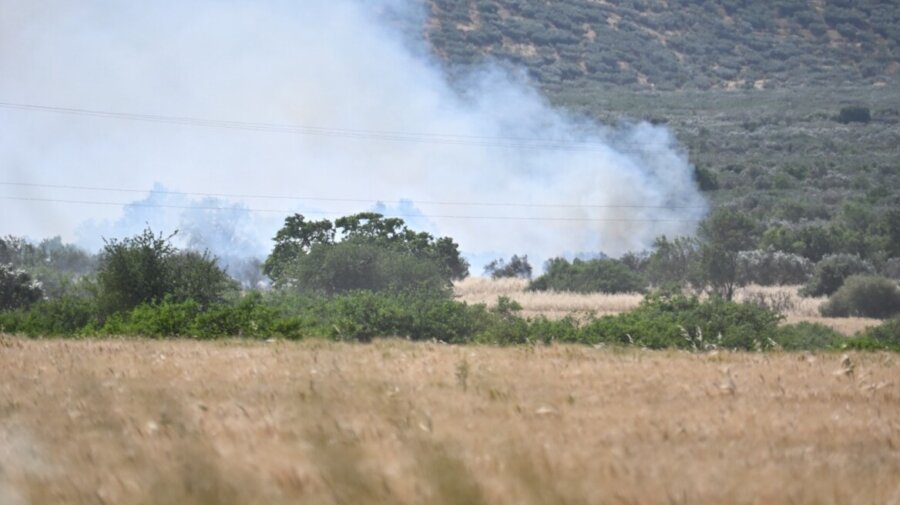 Μάχη με τις φλόγες στους Γόννους του δήμου Τεμπών