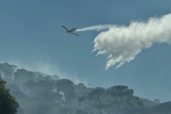 Φάρσαλα: Χωρίς ενεργό μέτωπο η φωτιά στη θέση «Κυρά» – Στον σημείο παραμένουν ισχυρές δυνάμεις