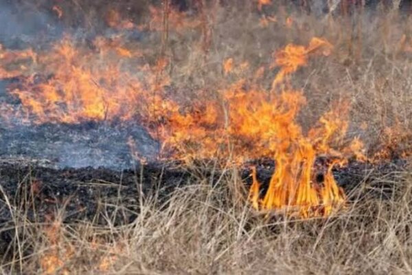 Φωτιά τώρα στη Λάρισα – Πυκνοί καπνοί πάνω από την πόλη