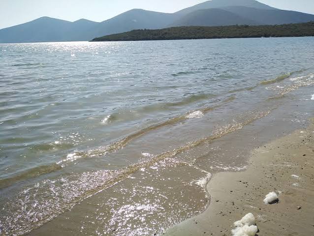 Κατσιαβριάς: Καμία ρύπανση στον κόλπο Πτελεού – Αχιλλείου