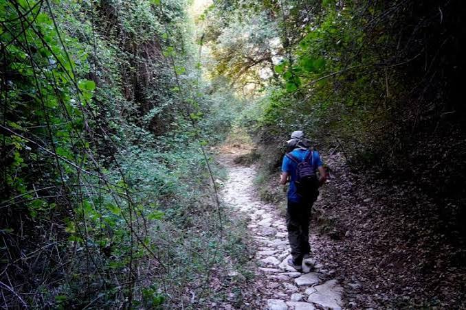 Αύξηση στην επισκεψιμότητα του ιστότοπου για τα μονοπάτια της Σκιάθου – Ενδιαφέρον από 70 χώρες